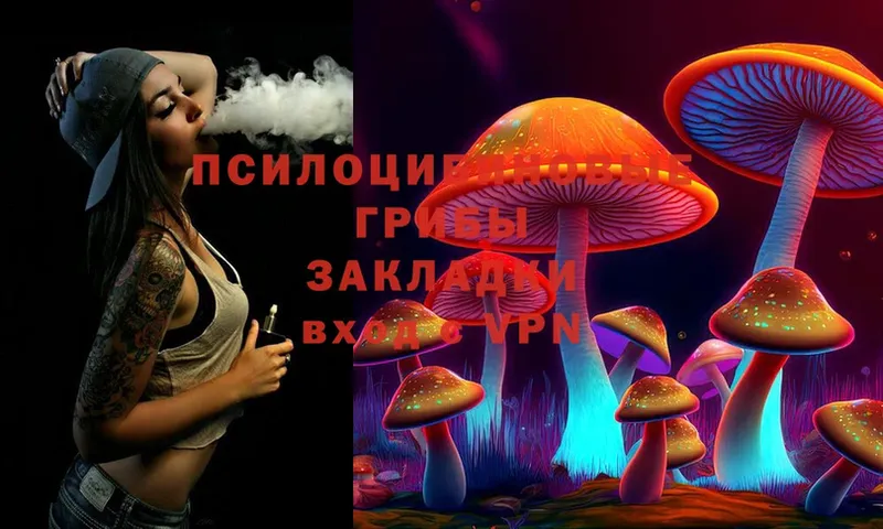 Псилоцибиновые грибы Psilocybine cubensis Златоуст